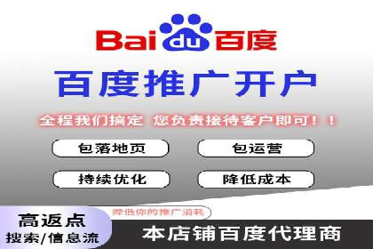 某电商平台的SEM推广实践与效果展示